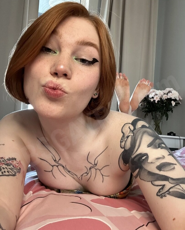 GloriaTransi4578732