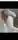 Rihard1234